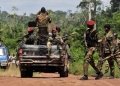 Ivory Coast shares a 550-kilometre (340-mile) border with Burkina Faso, where violence between armed groups has killed nearly 1,000 lives and forced 860,000 people from their homes over the past five years [Issouf Sanogo/AFP]